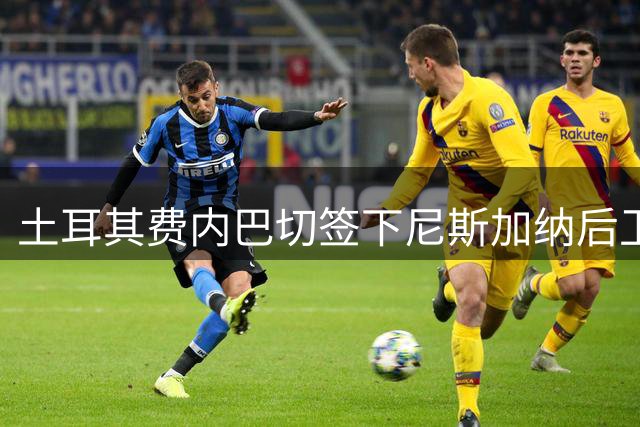 土耳其费内巴切签下尼斯加纳后卫奥蓬